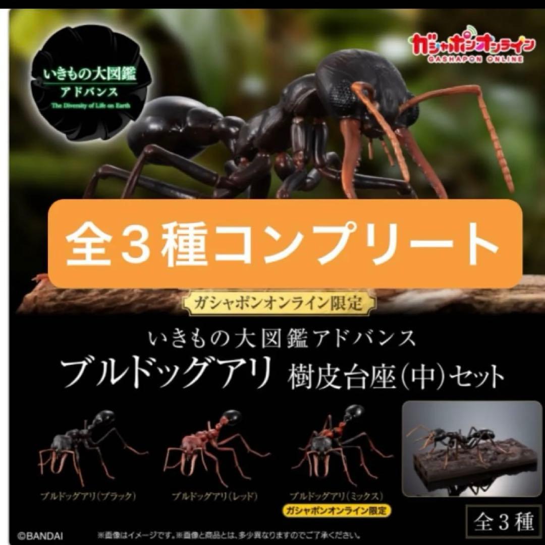 いきもの大図鑑アドバンス　ブルドックアリ　ガチャ　ガチャガチャ　フィギュア