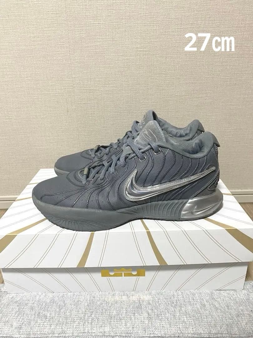 ナイキ　レブロン21 クールグレー　Nike Lebron 21
