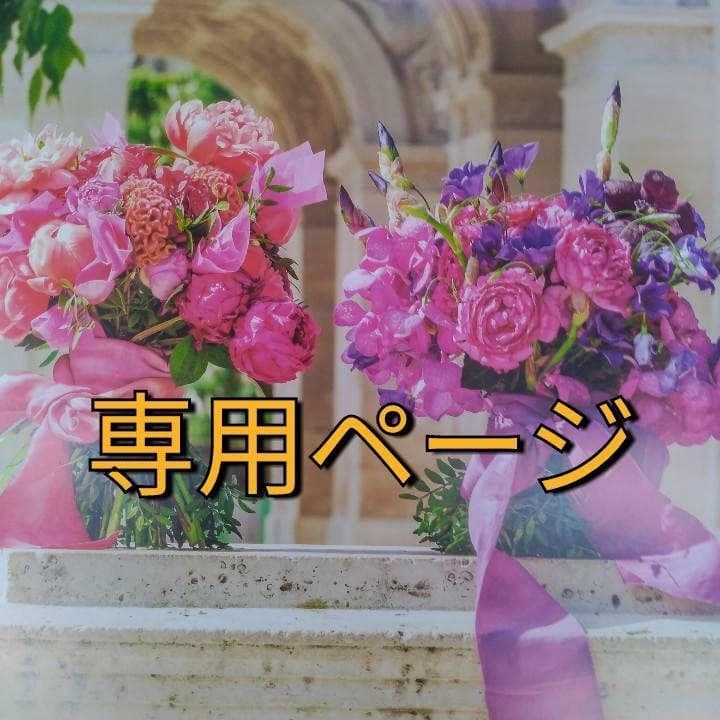 JUN*・゜プロフ必読様（感謝）　専用