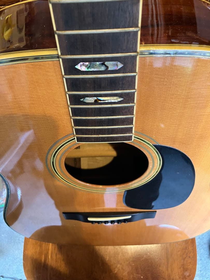 Morris W70 アコースティックギター