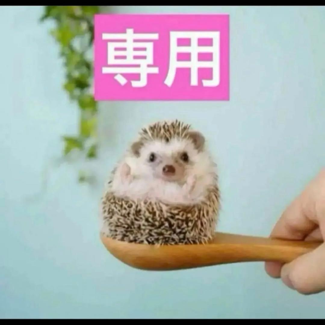 専用　BB00