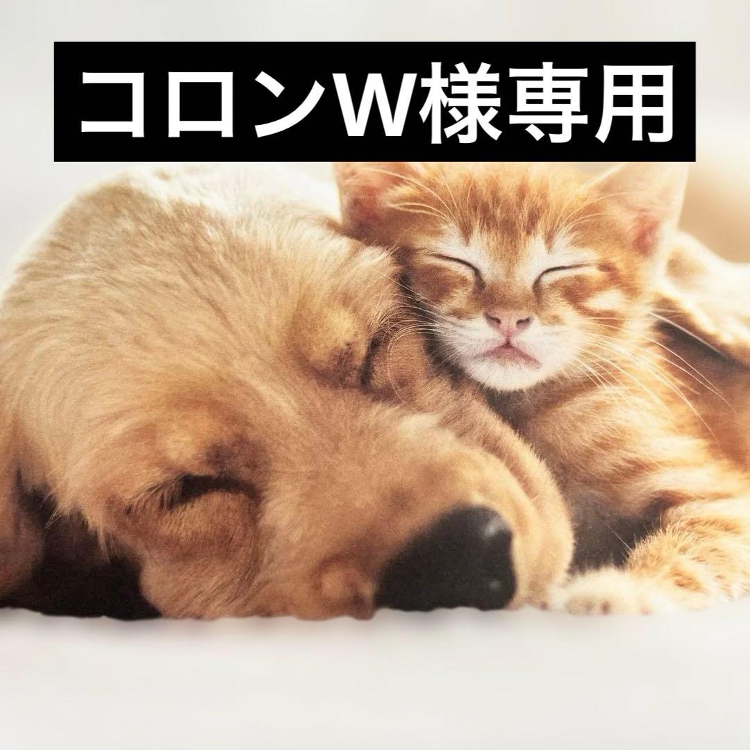 コロンW