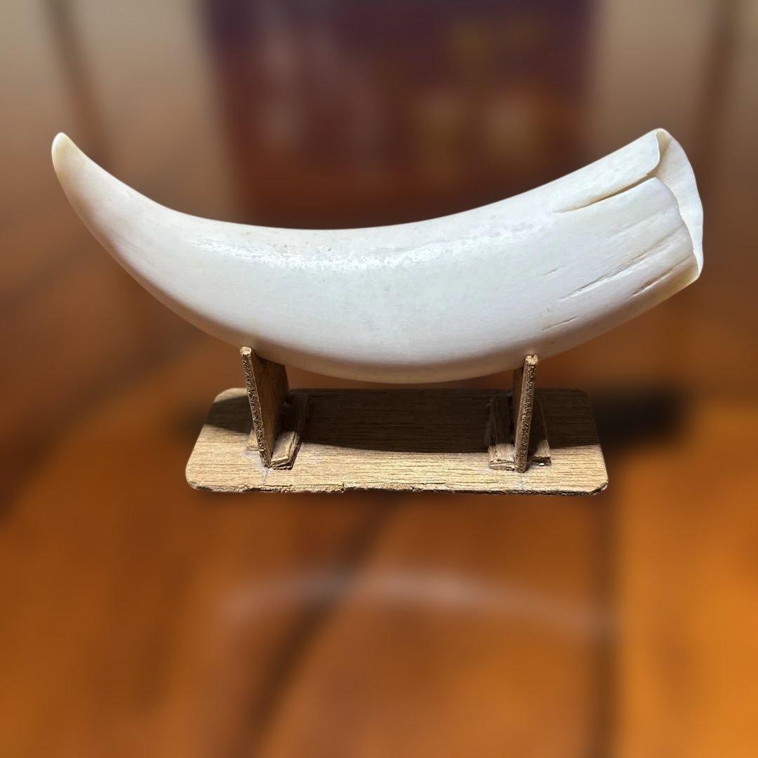 置き物