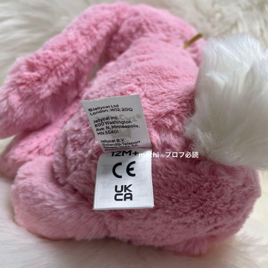  北京限定Blushkin Blossom Luxe Bunny
