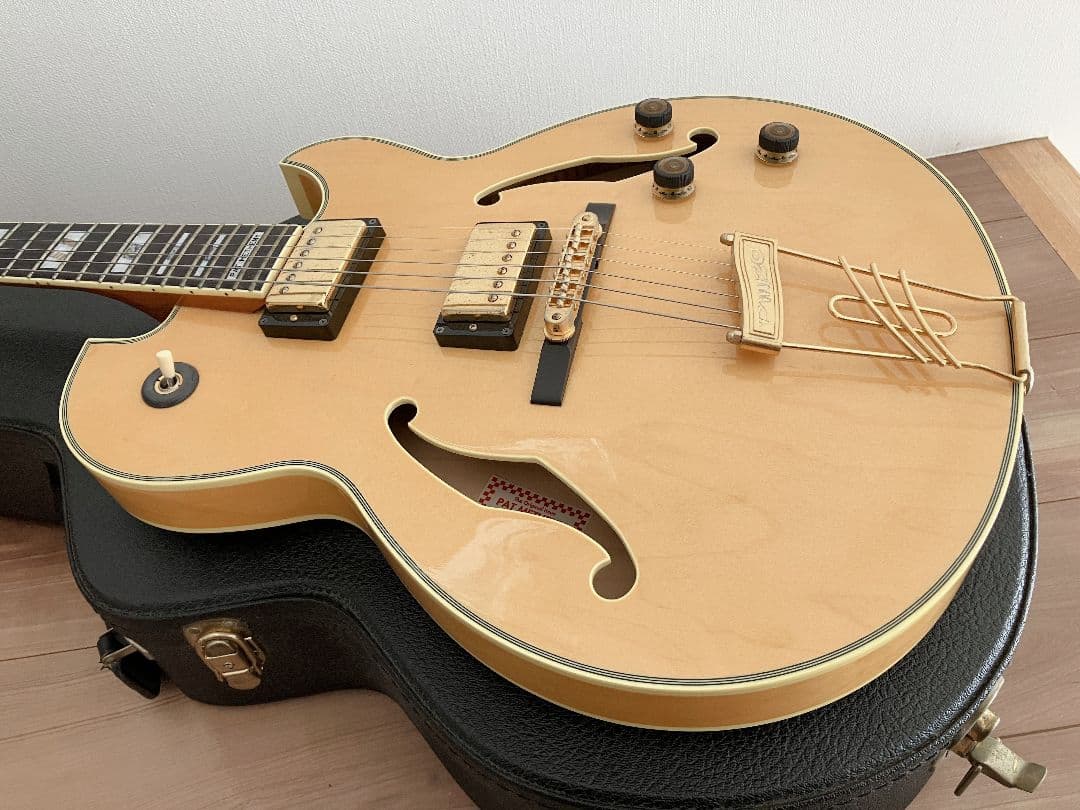 Ibanez PM120 Pat Metheny Signature フルアコ