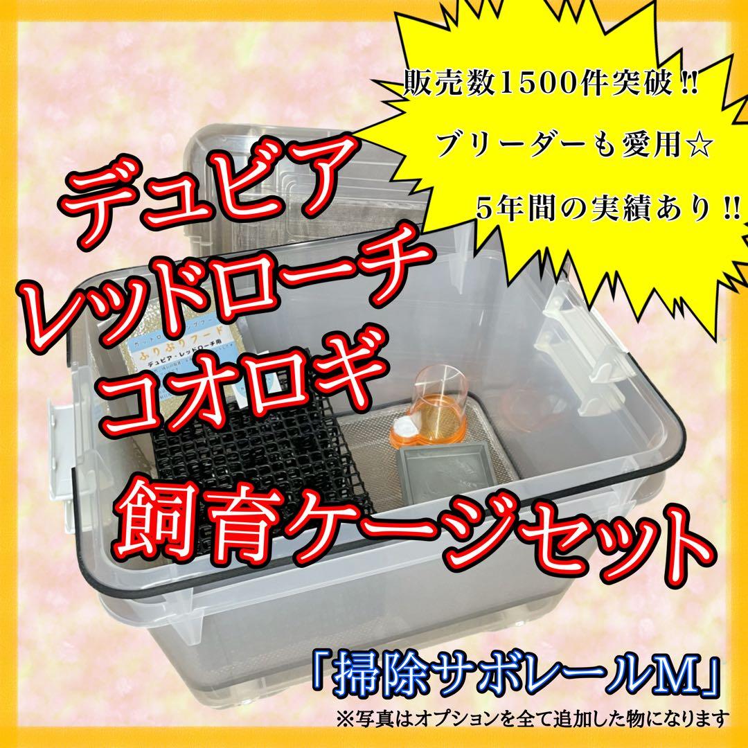 なの様　M(フル)(デュ)