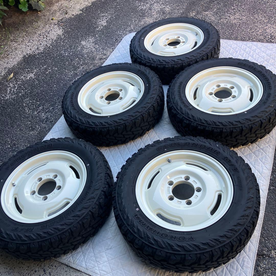 7447 様専⑤ ⚠️7447様以外は購入禁止です。アピオワイルドボアヨコハマ