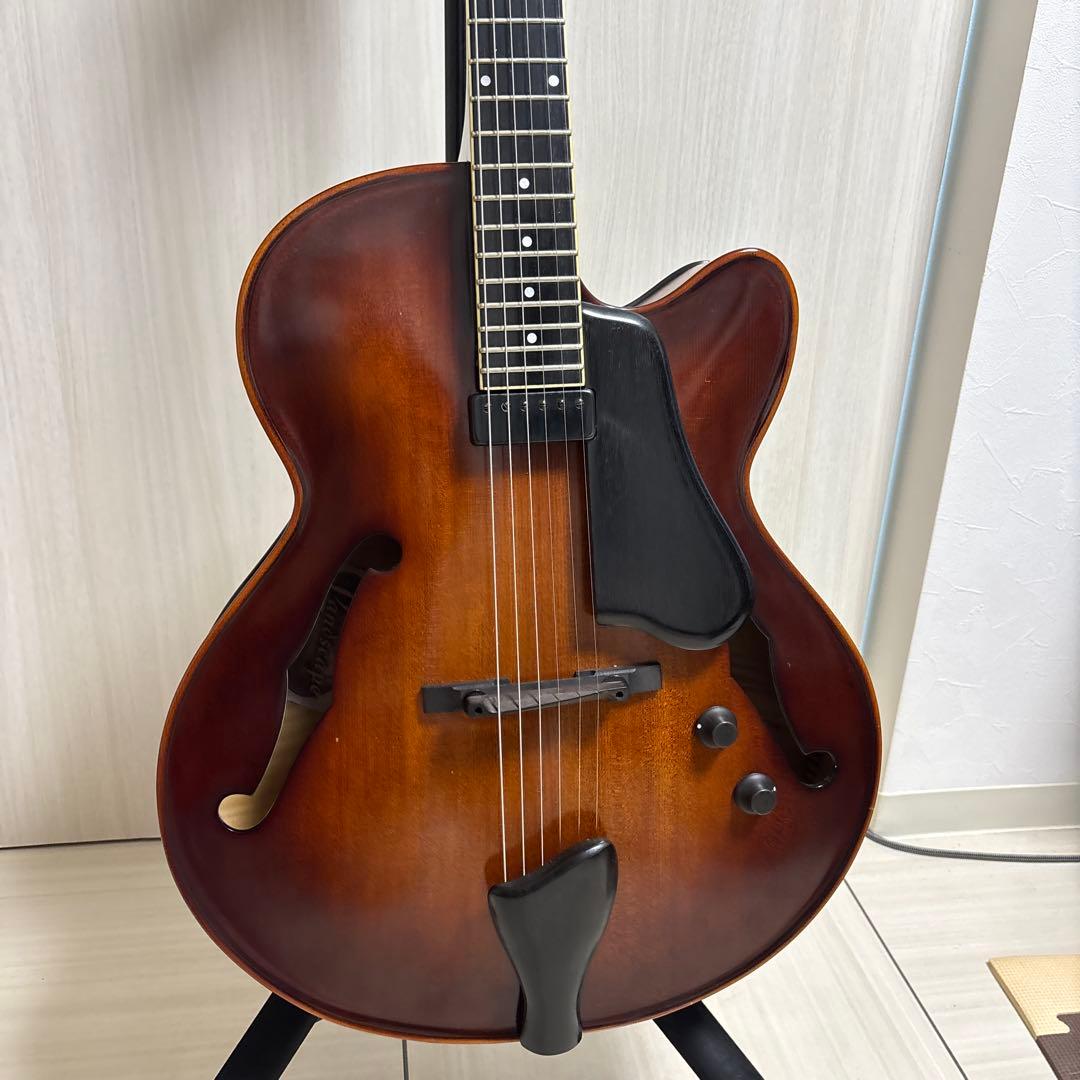 専用　Landscape ar1 ハードケース付き　フルアコ