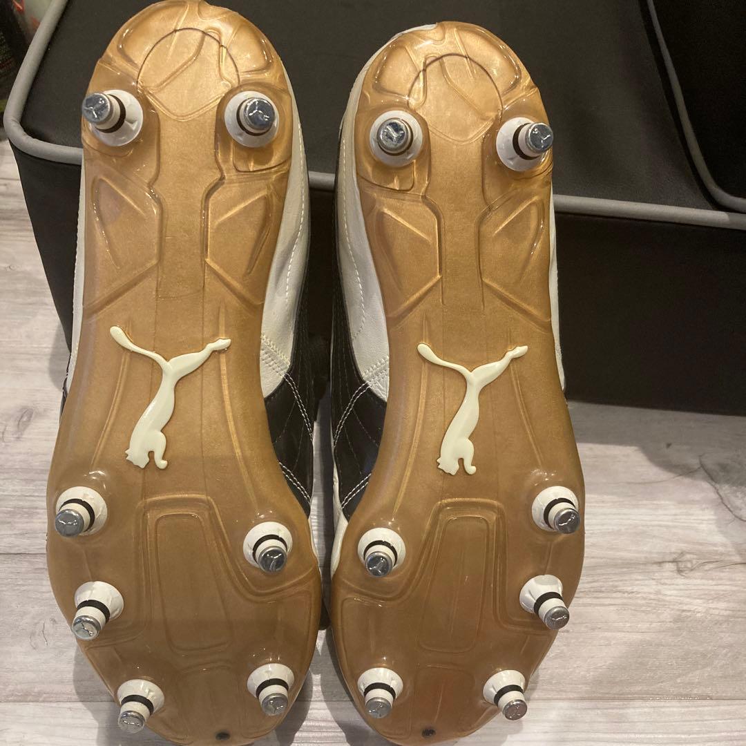 PUMAパラメヒコライト 取り替え式 28cm
