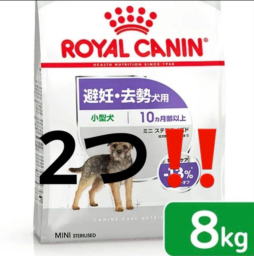 専用！