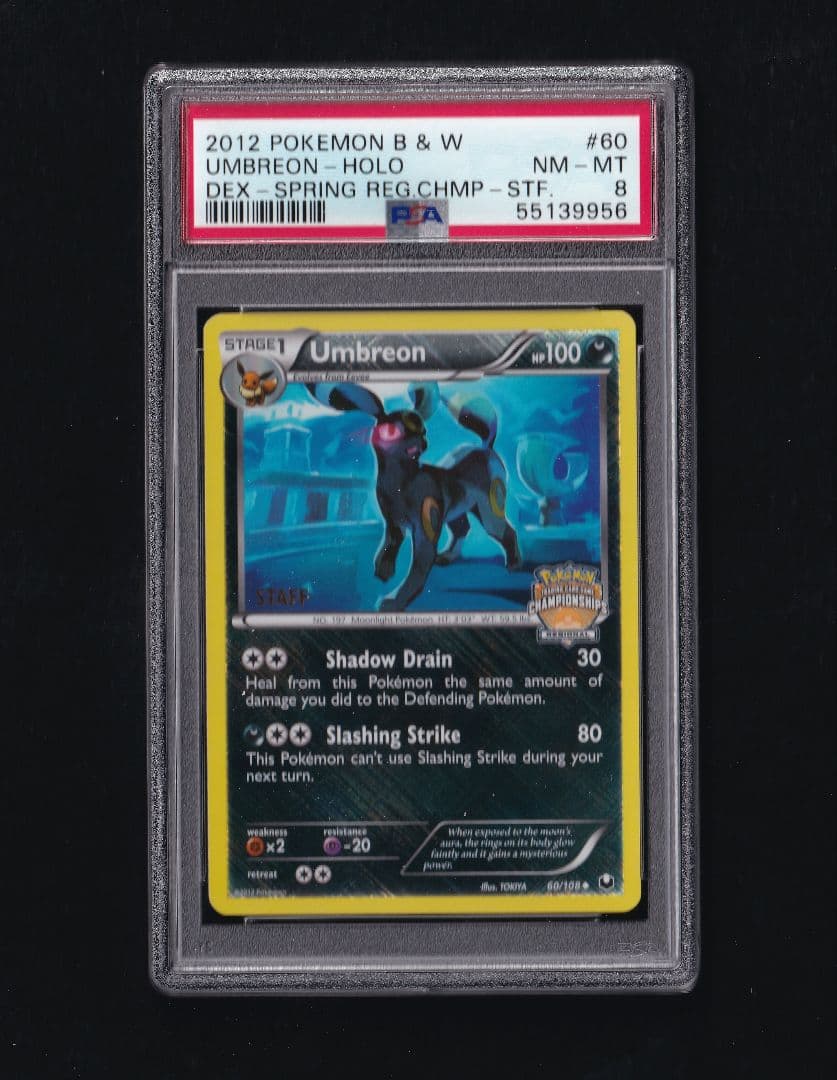 英版ブラッキー チャンピオンシップ STAFFプロモ - PSA NM-MT8