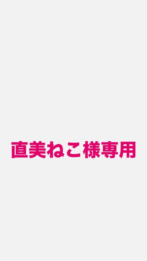 ポケモン/下敷き/レトロ/平成/まとめ売り