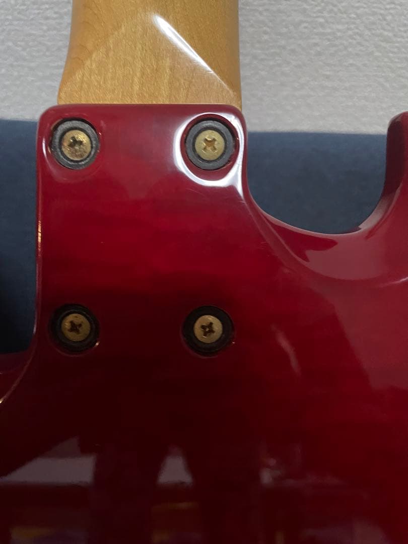 XJAPAN HIDEモデル burny MG-85X FERNANDES