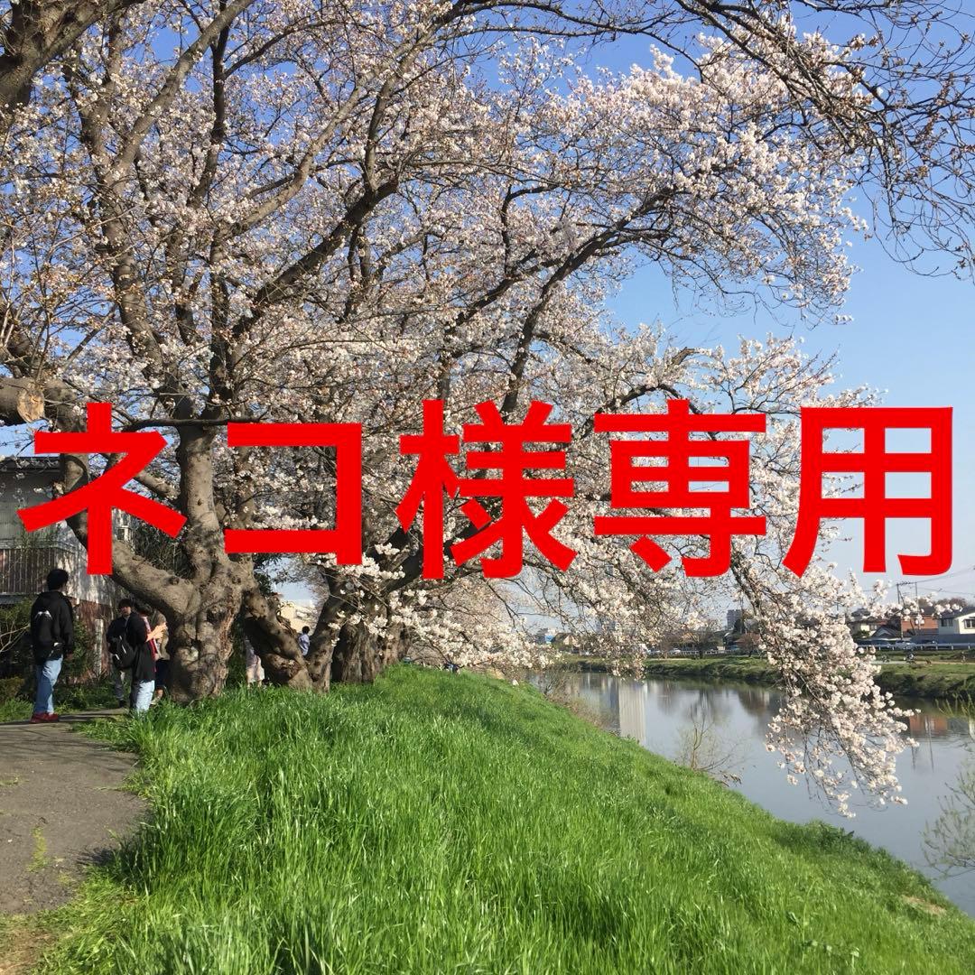 ネコ