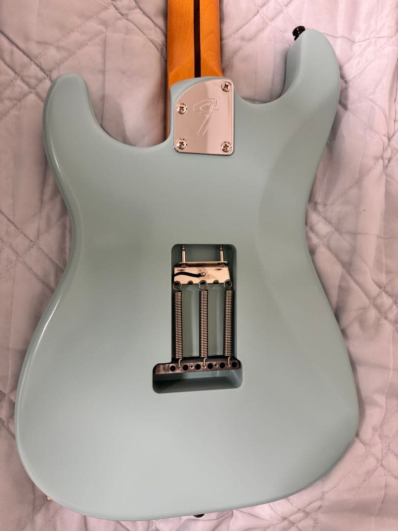 ギター Fender / Rei Stratocaster R246 Rosewood
