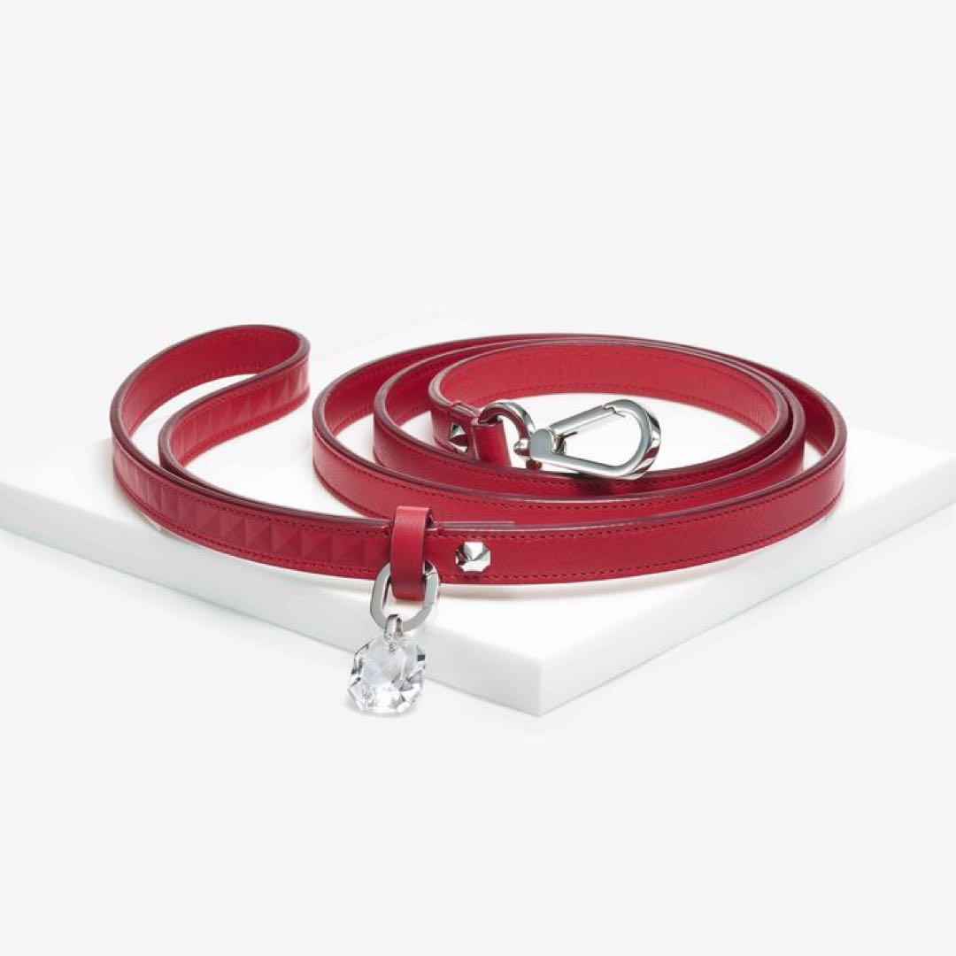 Baccarat バカラ　ペットリード
