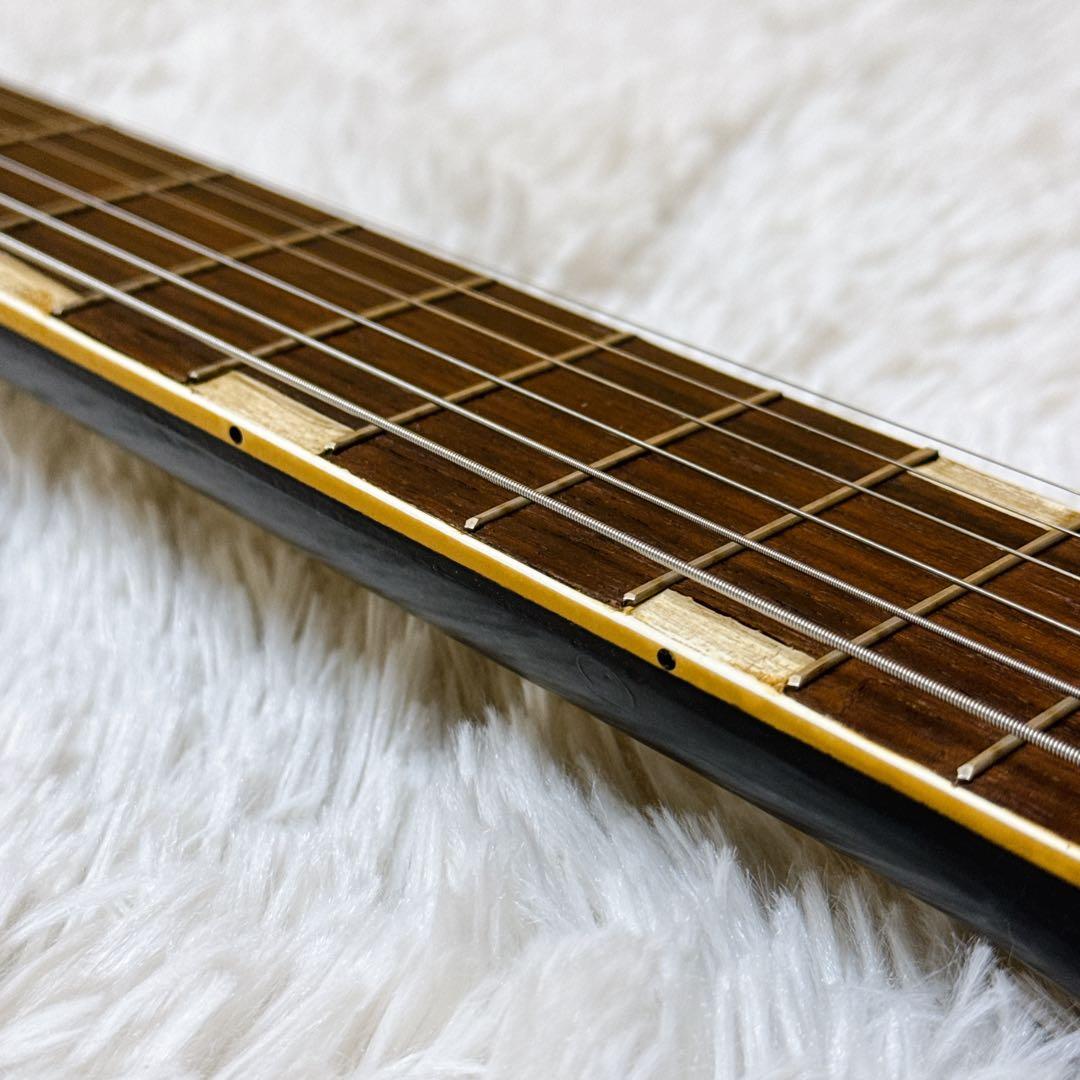 TEISCO TRG-1L テスコ シングルカッタウェイ アンプ内蔵 日本製