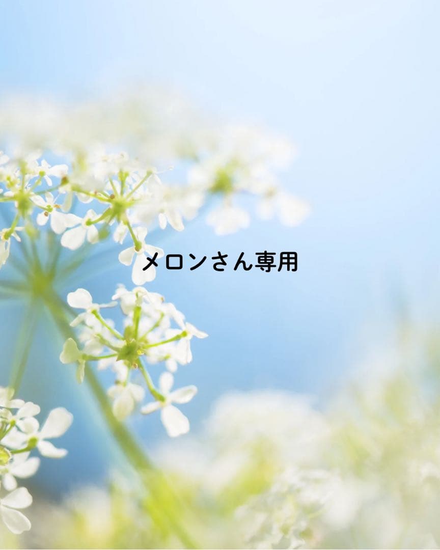メロンさん専用