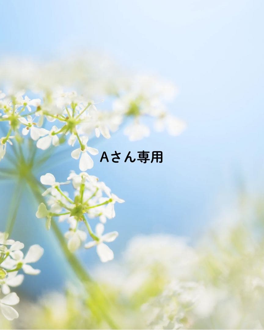 Aさん専用