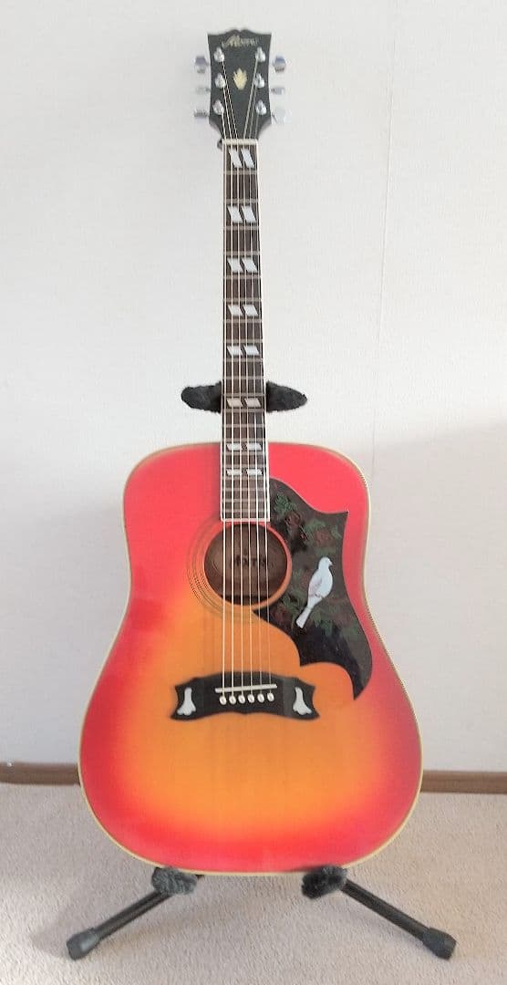 アコースティックギター Morris  WD-30