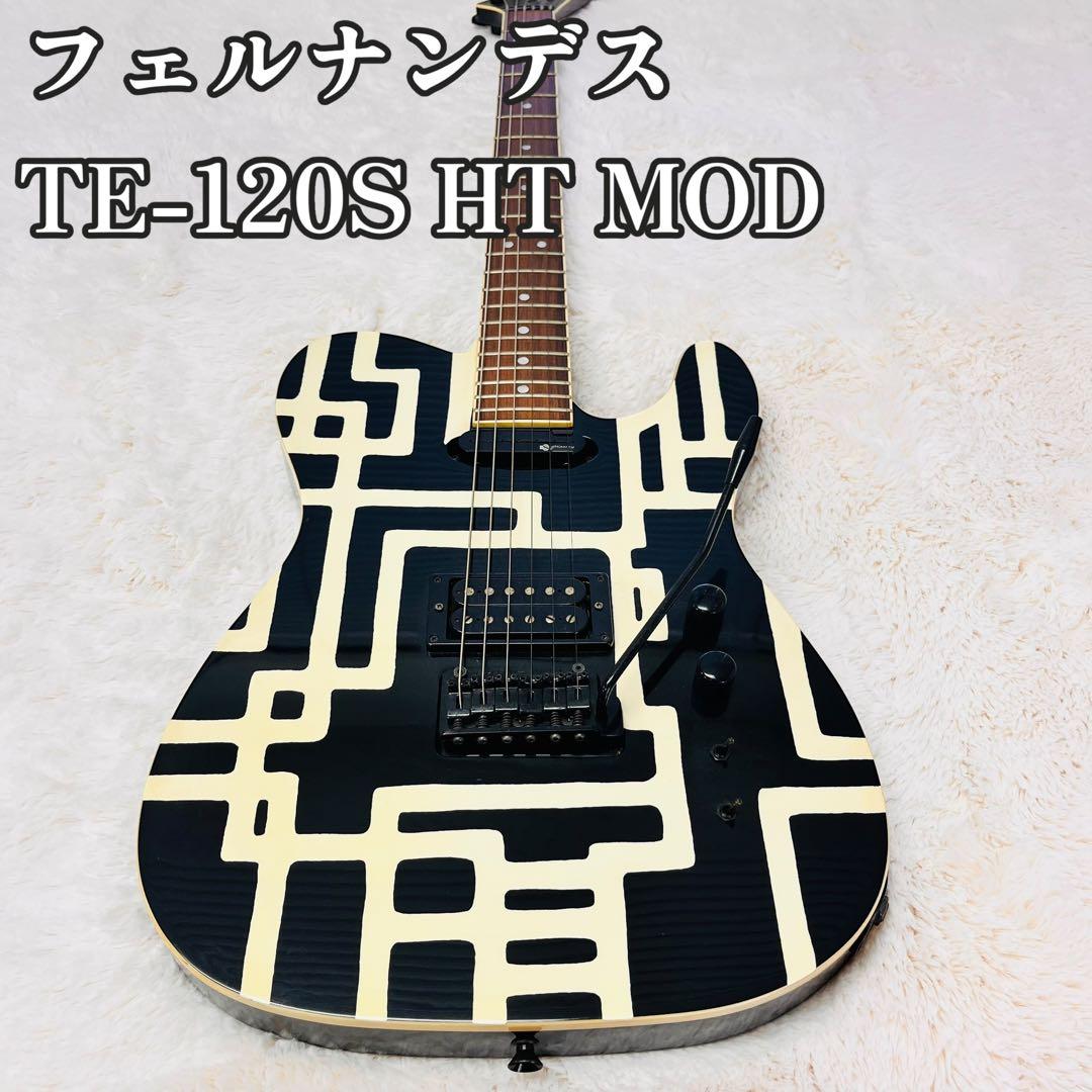 フェルナンデスTE-120S HT MOD
