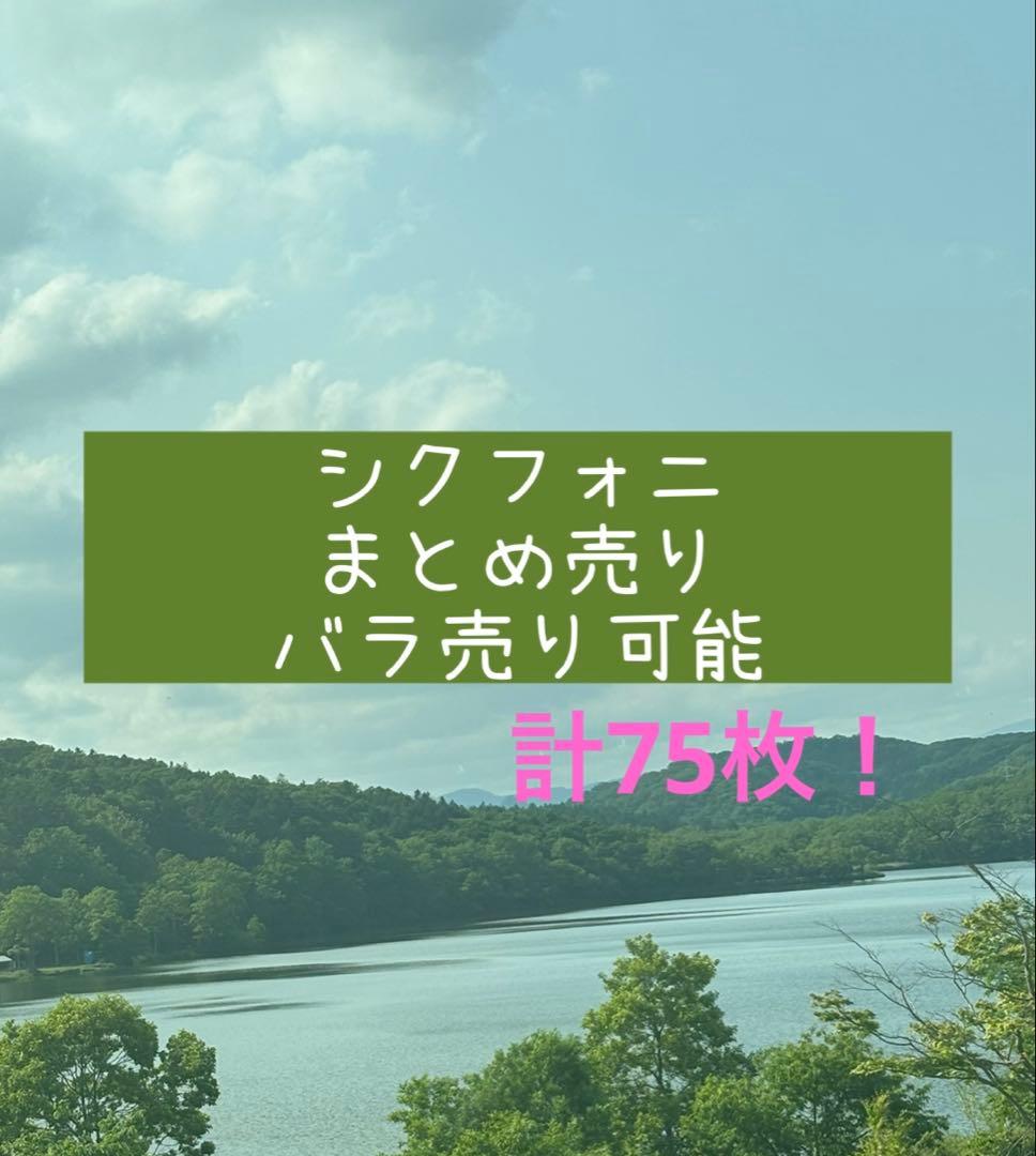 シクフォニ 紙類 まとめ売り