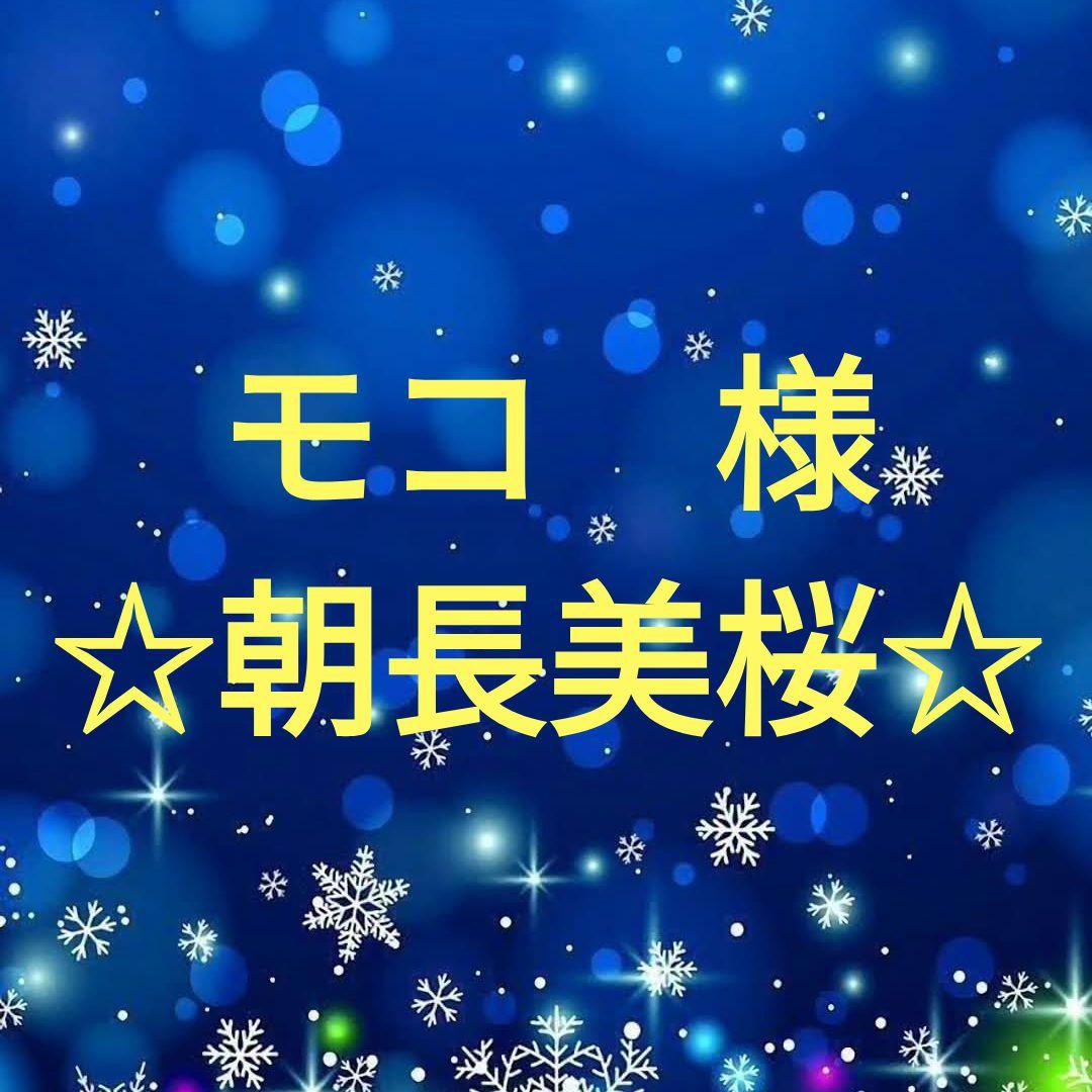 モコ　　朝長美桜セット