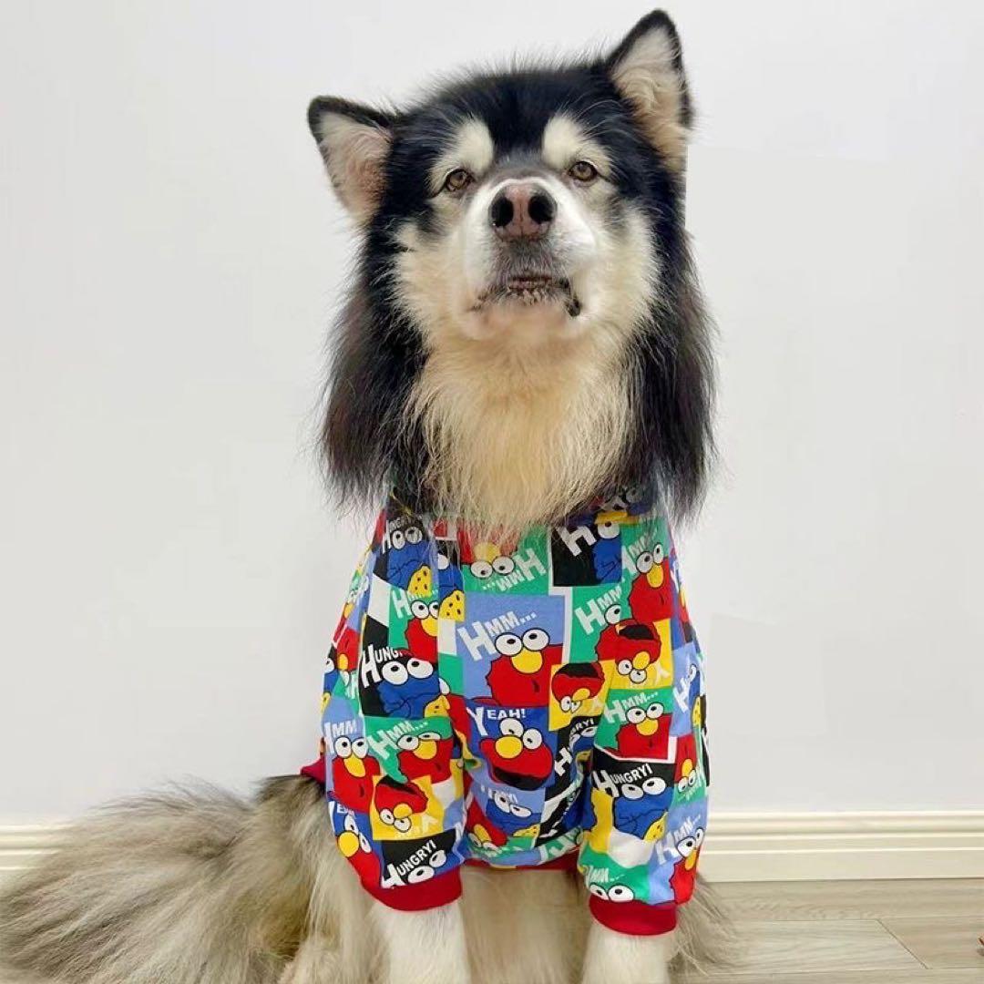 犬服2枚レインコート2枚