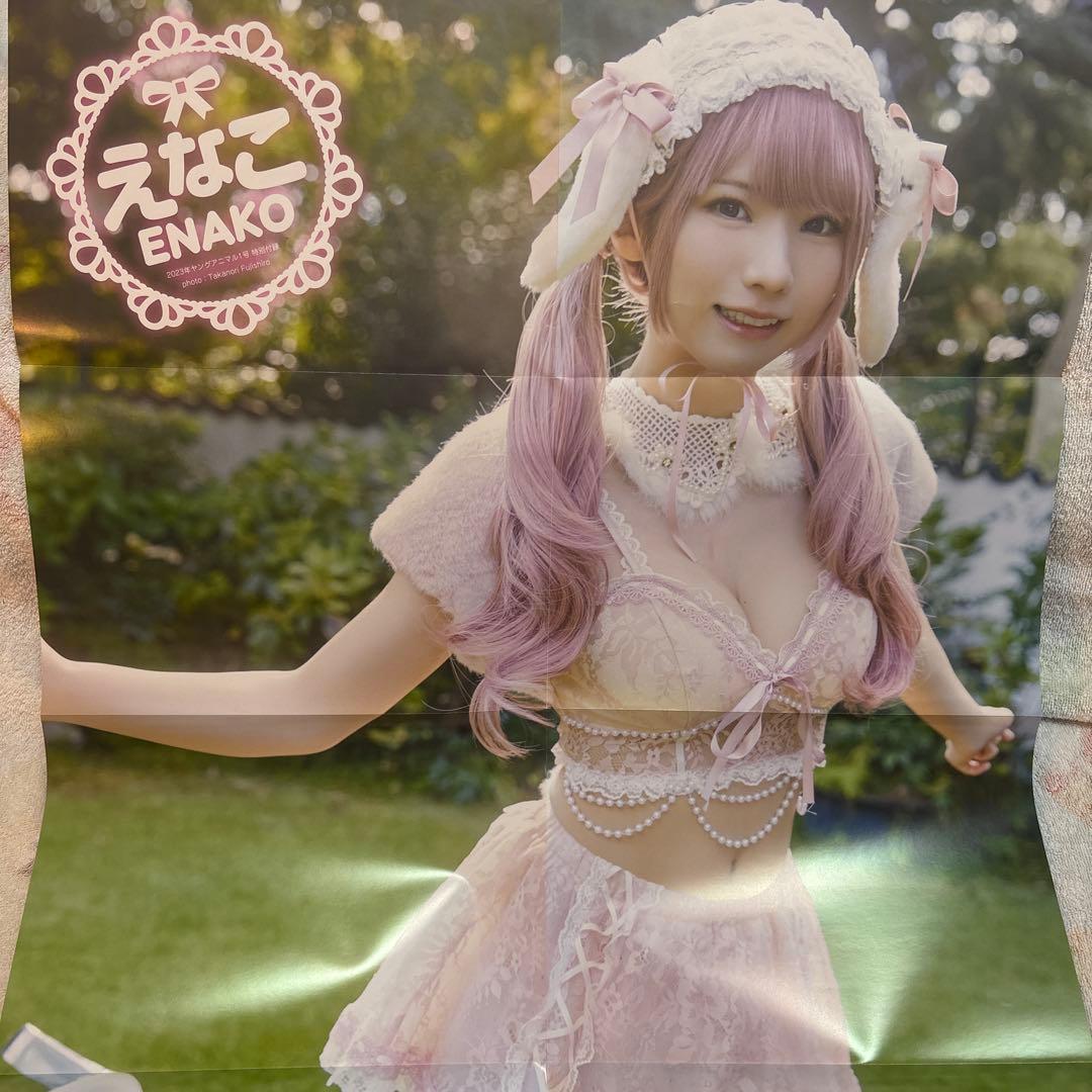 えなこ 大判ポスター、過去カレンダー等セット