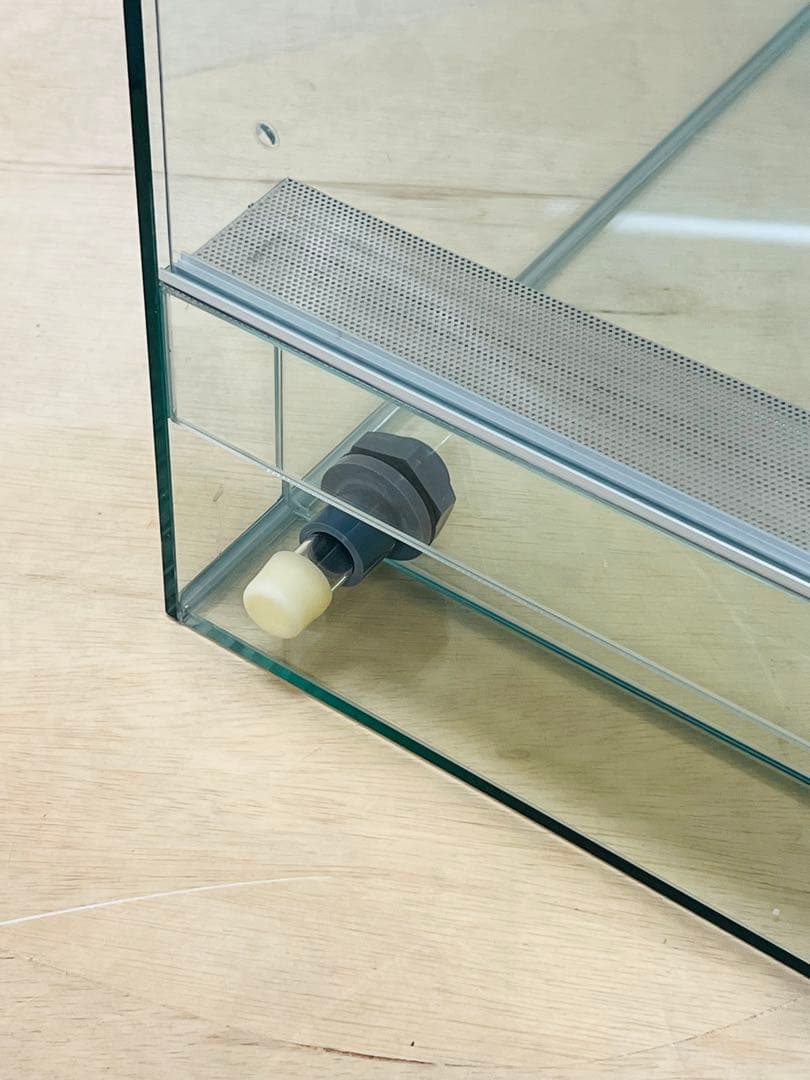 ありゅーあ