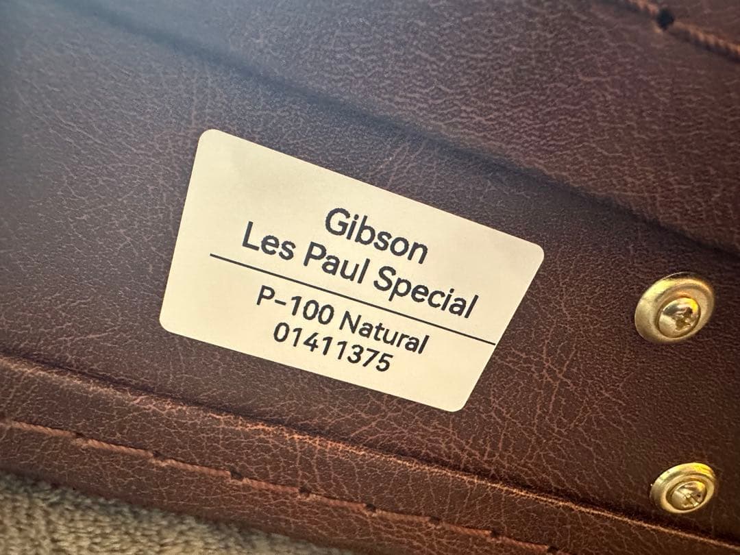 Gibson Les Paul Special P100 ハードケース