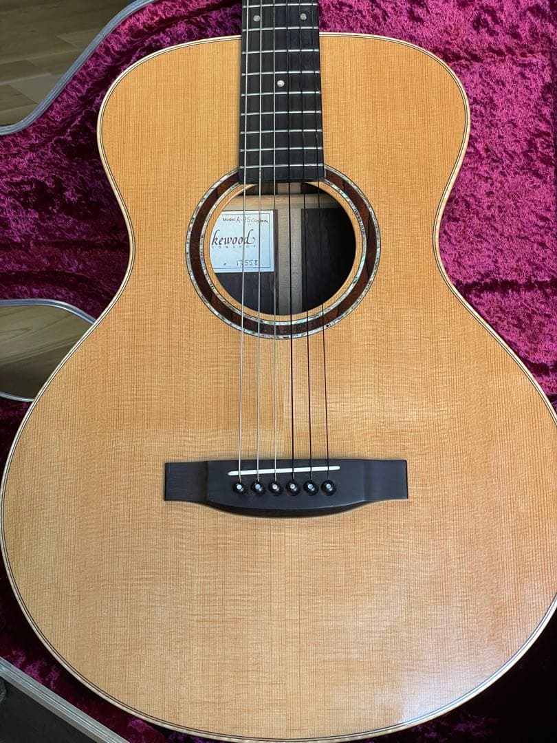 ギター Lakewood A-45 Custom Ziricote Europian