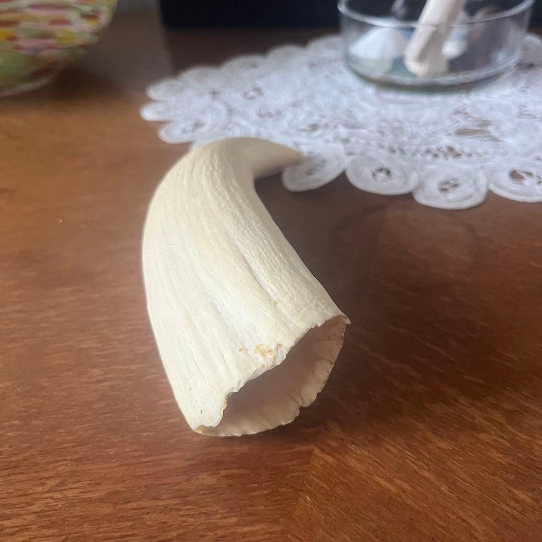 田中