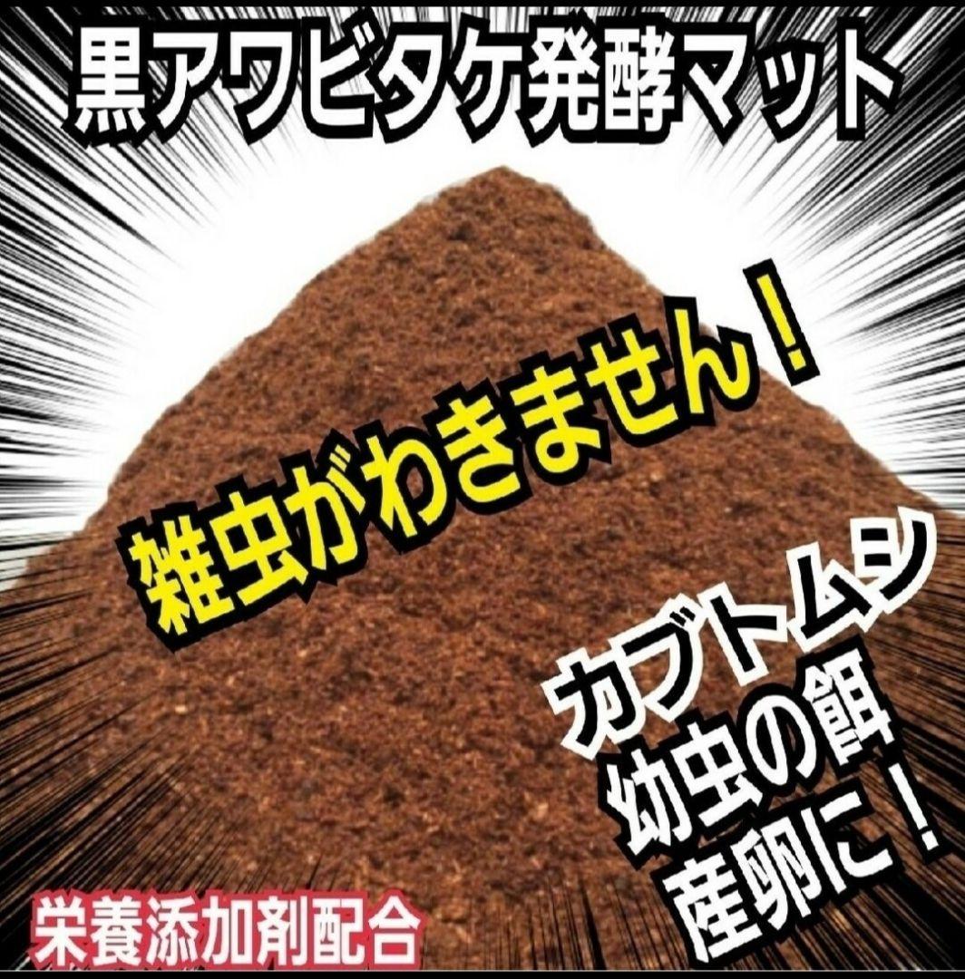 カブトムシ専用　黒アワビタケ発酵マット　幼虫の餌・産卵に抜群！　雑虫がわきません