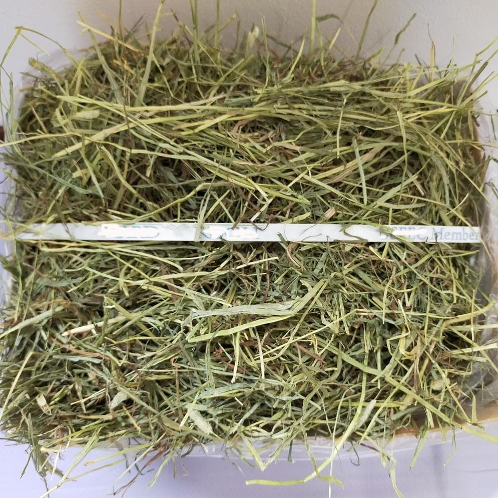 US産 チモシー 50kg ２番刈 ソフトSプレミアム