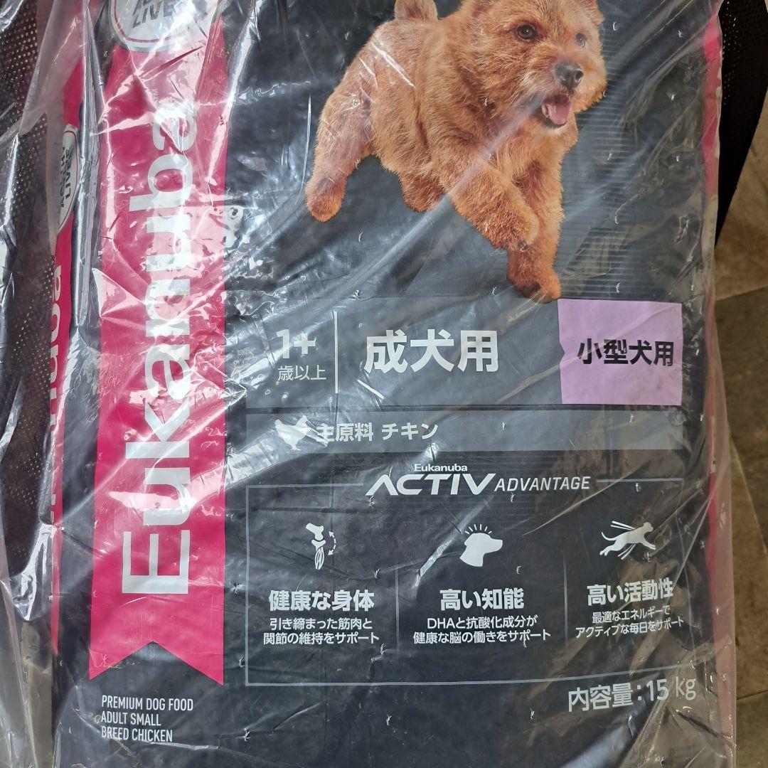 しいたん