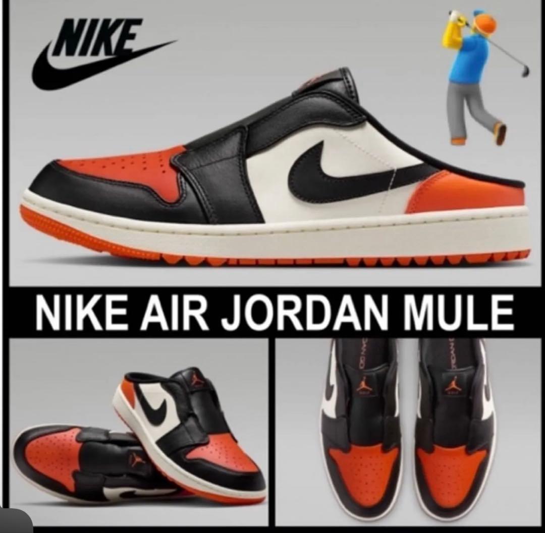 NIKE エアジョーダン 1 ゴルフ ミュール シャッタード バックボード