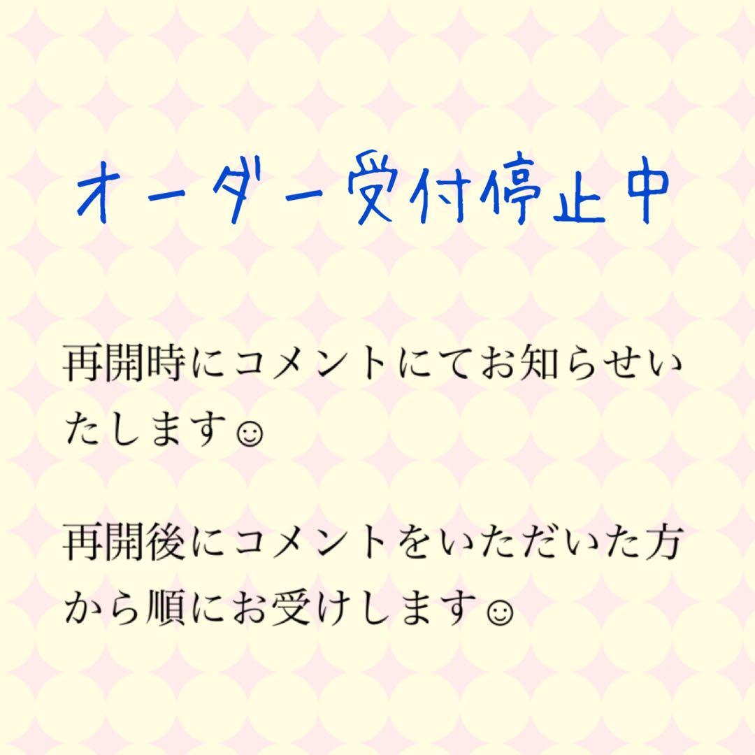すのチルぬい服　オーダーページ