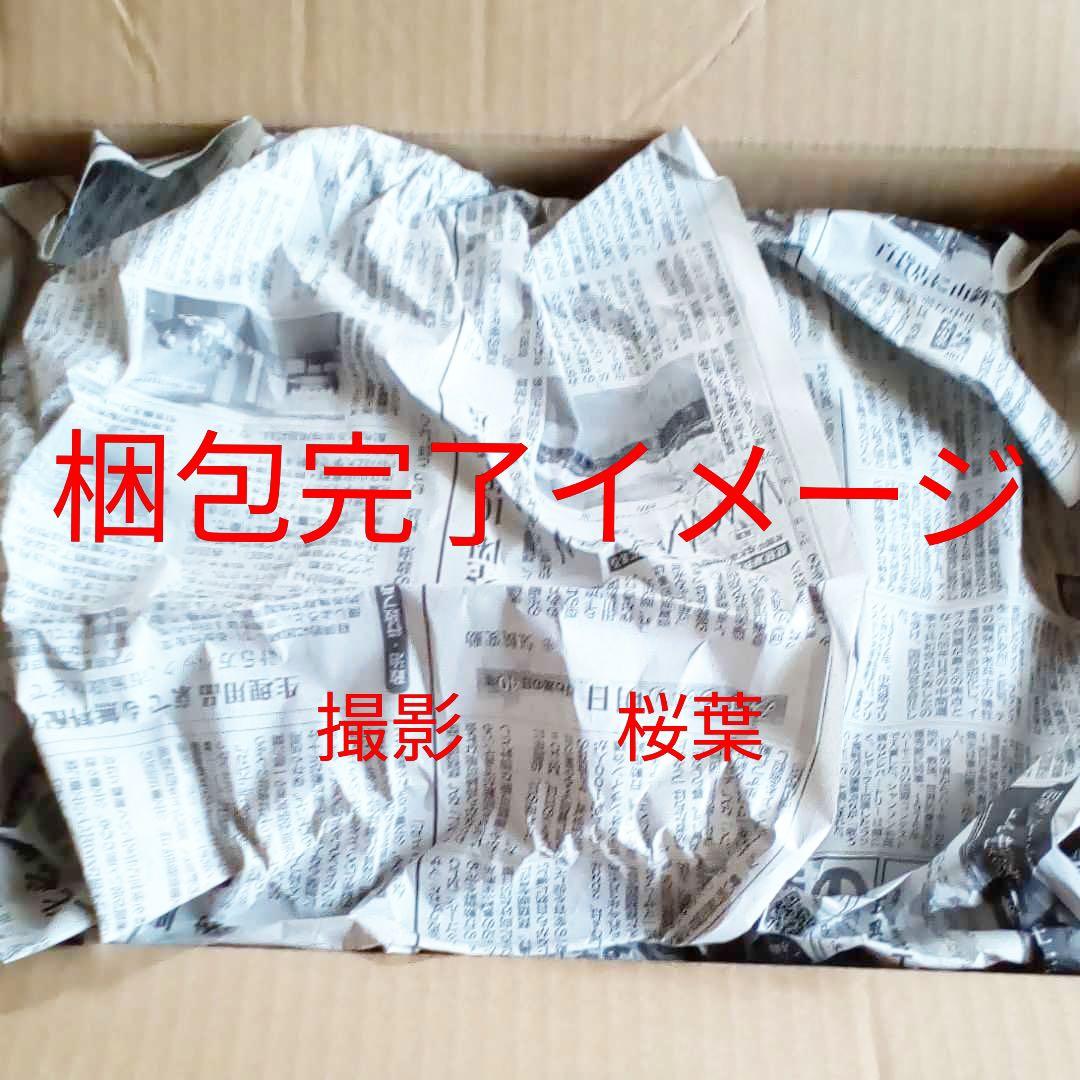 機動戦士ガンダム ガンプラ mg g3ガンダム ver.2.0 内袋未開封