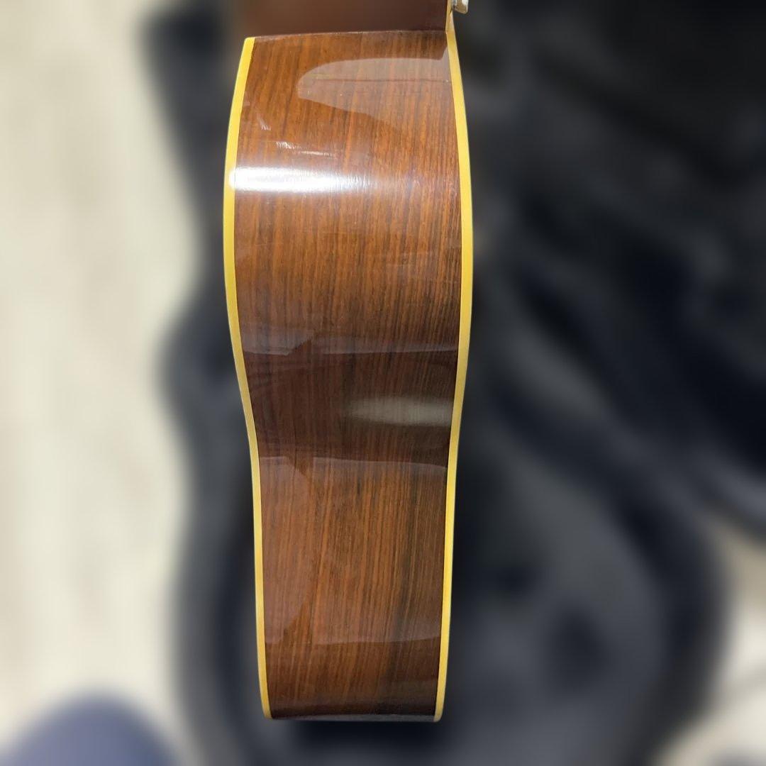 Martin & Co. アコースティックギター