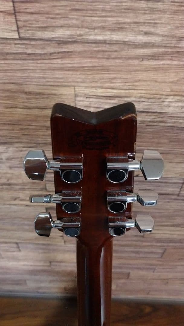 Washburn d10sce　エレアコ