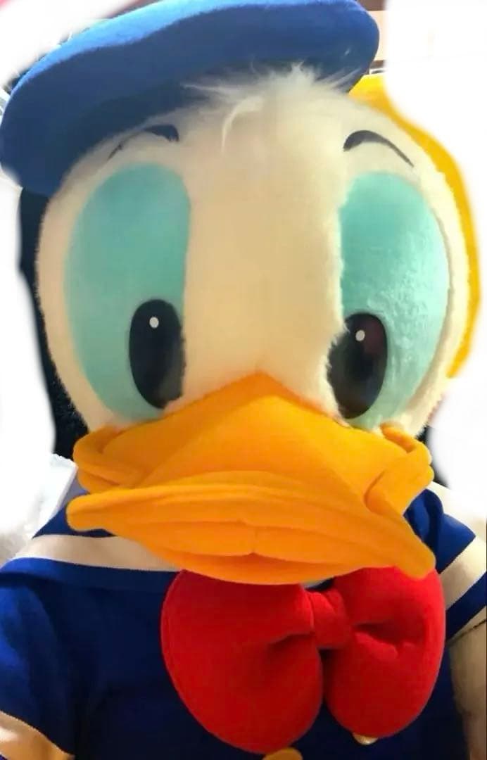 ディズニー　ドナルドダック　タグ付き　約６５センチBIGぬいぐるみ❣️ 送料込み❣️