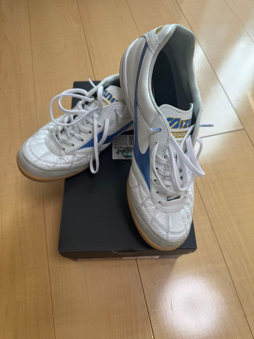 モレリア　サラ　ジャパン　イン　MIZUNO ENERZY 25.5cm