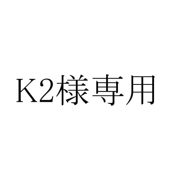 K2　バブルランプシーリングカバーつき