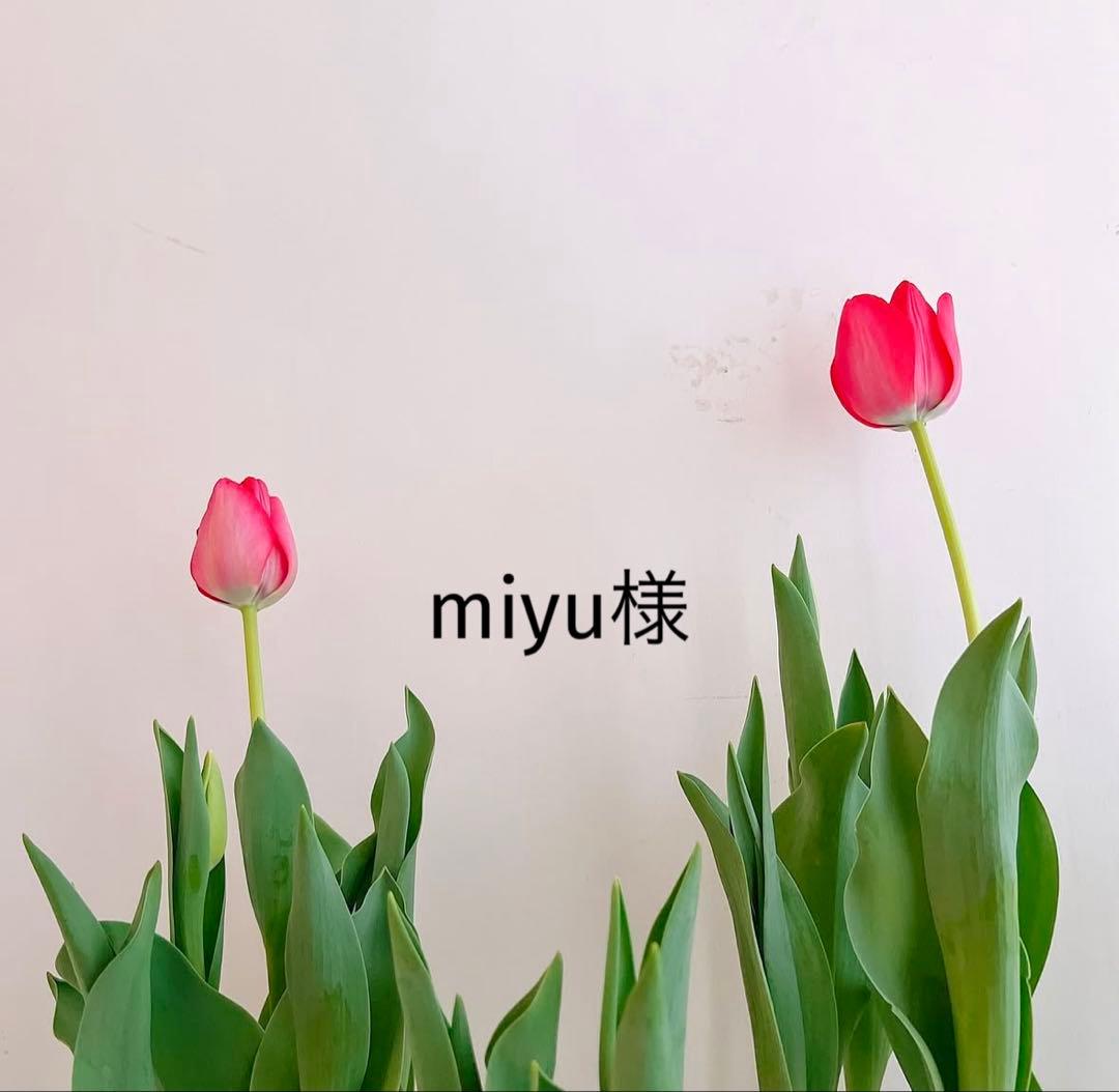 miyu品