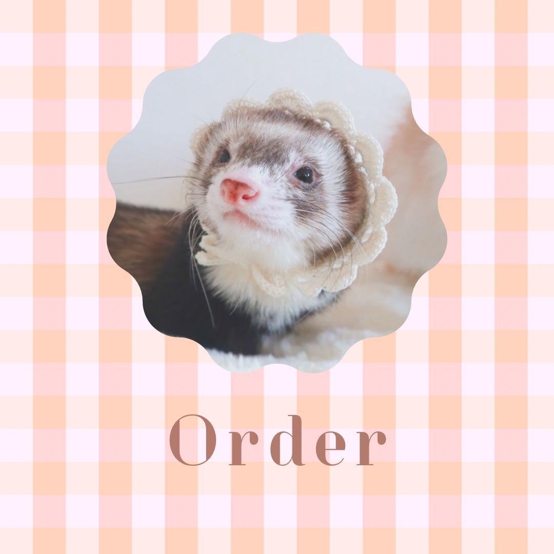 フェレずくしページ♡