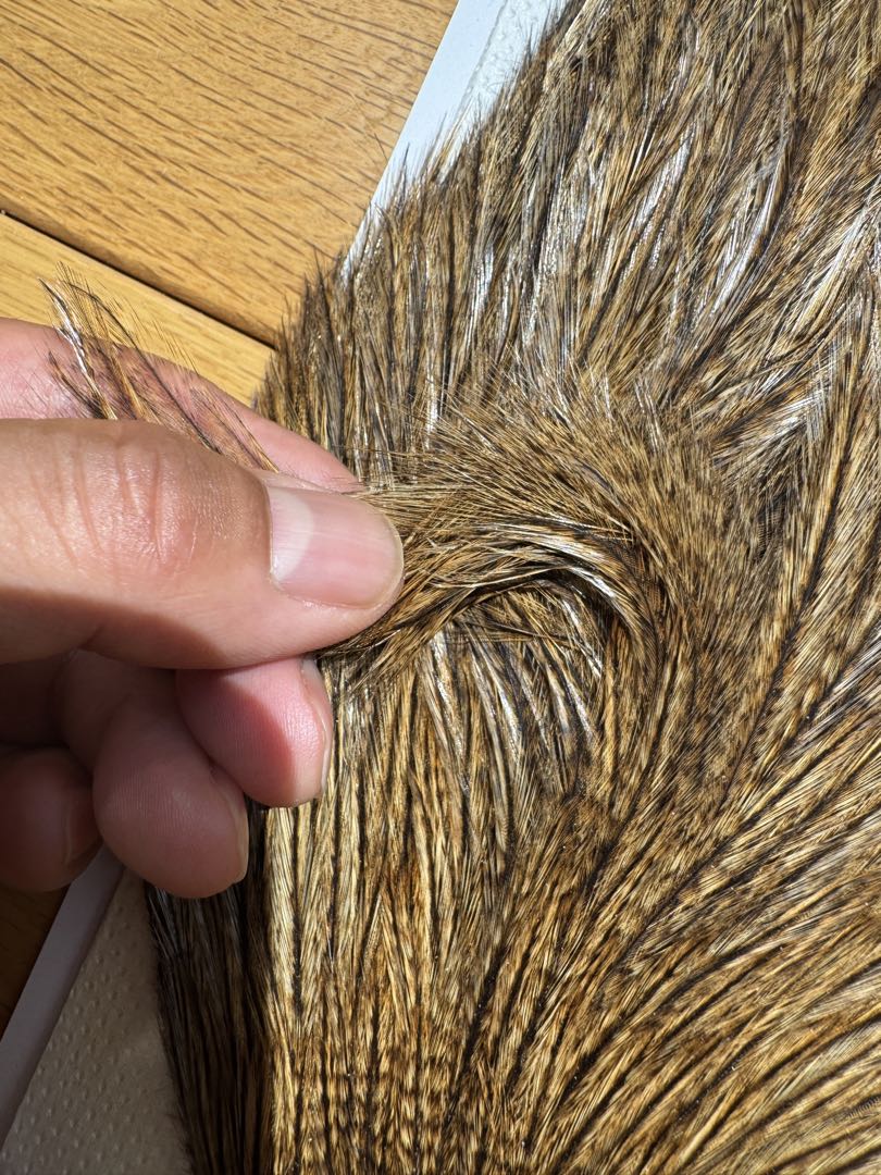 WHITING コックデレオン　ダークパルド　ライトジンジャーパルド　2枚セット