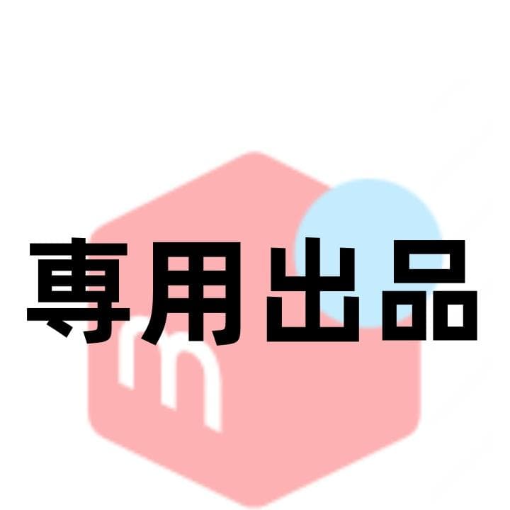 専用ページ