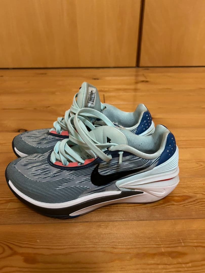 Nike バスケット　GTカット2　25.5