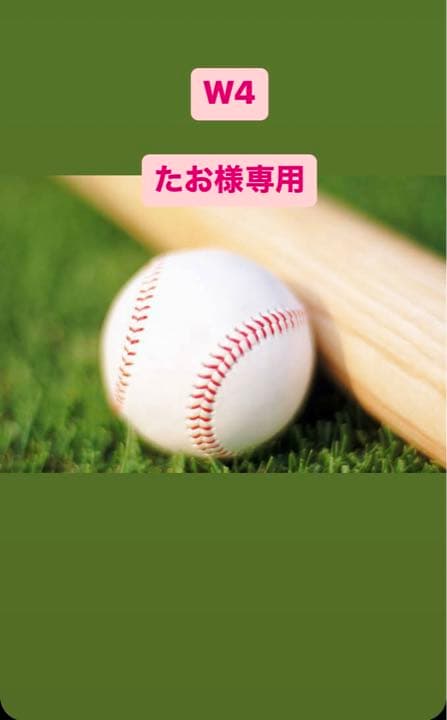 その他 w4 tao
